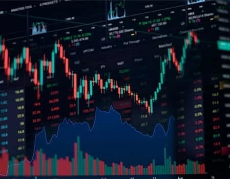 An infographic showcasing the key features of Stable Capital Pro.