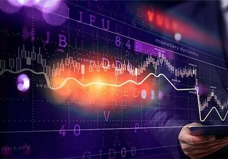 An illustration representing the concept of Stable Capital Pro.